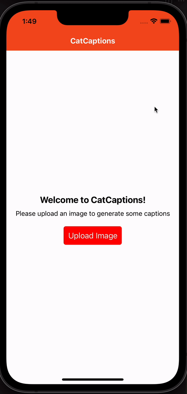 CatCaptions Demo